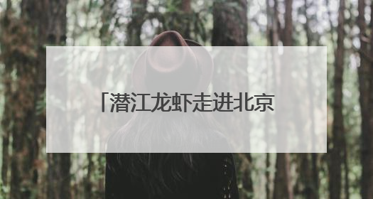 潜江龙虾走进北京，100000只虾席卷大厂餐桌